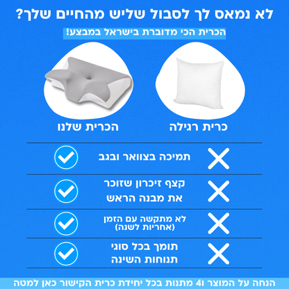 כרית הדגל שלנו